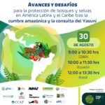 Conversatorio Anvances y Desafíos para la protección de bosques y selvas en ALC tras la Cumbre Amazónica y la consulta del Yasuní